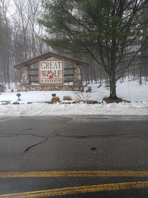 Sign for Great Wolf Lodge surrounded by snow and trees on a foggy day. Road in the foreground.
