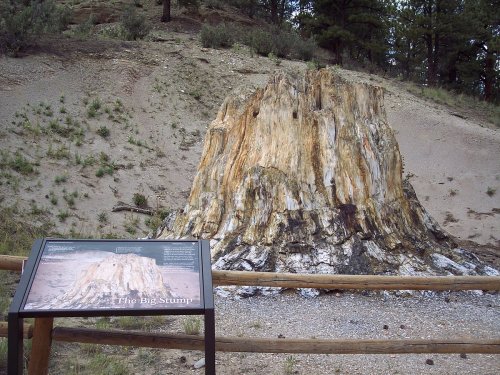 A large, weathered tree stump with colorful patterns, surrounded by a natural landscape and a nearby informational sign.