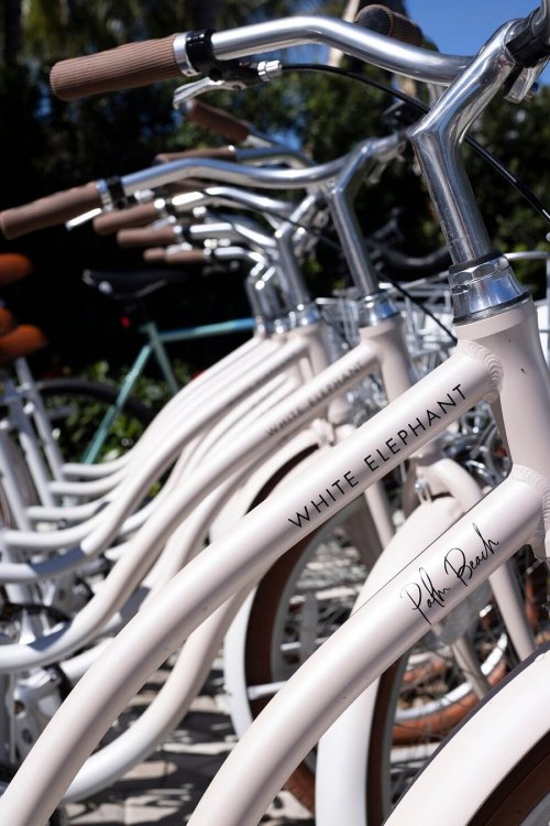 A row of white bicycles with brown seats, featuring the text "White Elephant" and "Palm Beach" on the frames.