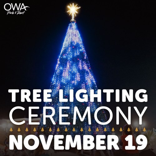 A brightly lit Christmas tree with a star on top, promoting a tree lighting ceremony on November 19 at OWA Parks & Resort.