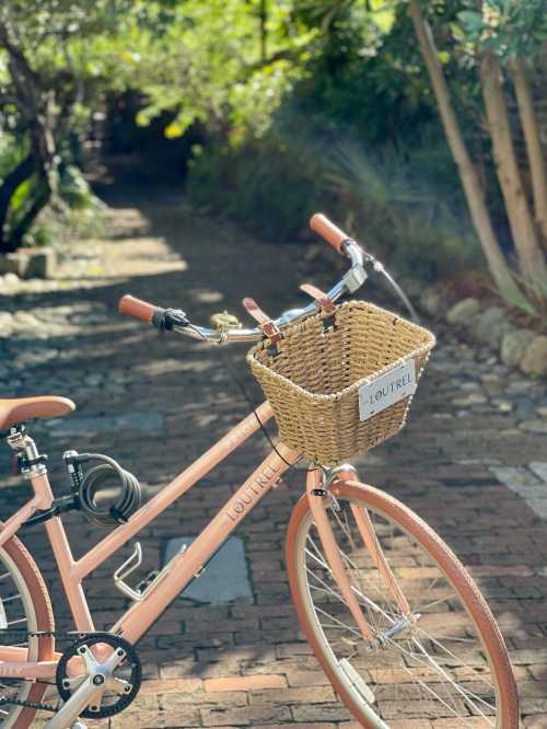 A pastel pink bicycle with a woven basket parked on a sunny, leafy pathway.