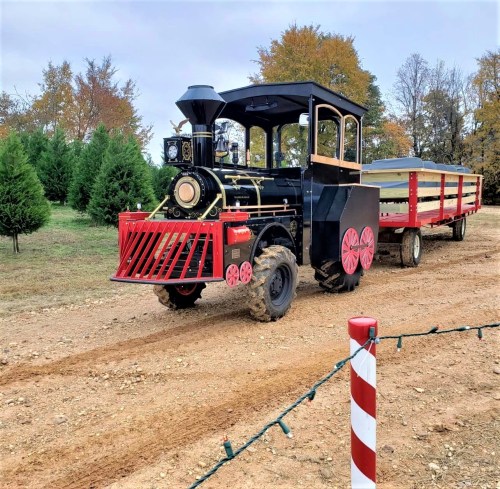 A vintage-style black and red train on a dirt path, pulling a trailer through a tree-filled landscape.