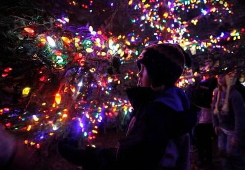 A child in a winter hat admires colorful holiday lights on a tree at night.