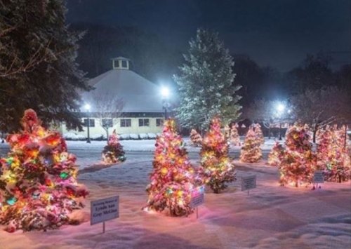 Colorful Christmas trees adorned with lights in a snowy landscape, illuminated by soft evening lights.