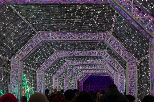 A vibrant tunnel of twinkling purple and white lights, with people walking through a festive display.