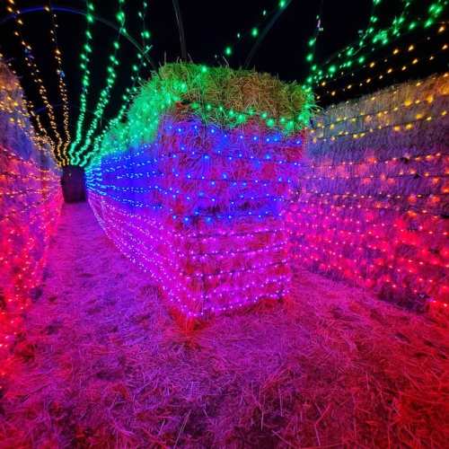 A colorful pathway of hay bales illuminated with vibrant lights in a dark setting.