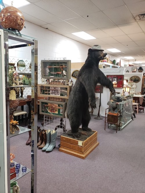 A taxidermy bear wearing a hat stands in an antique shop, surrounded by various vintage items and displays.