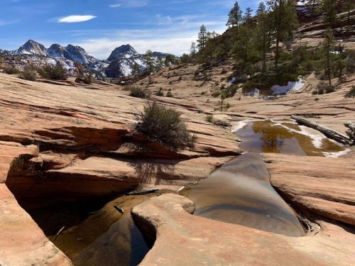 A rocky landscape with a shallow stream, surrounded by trees and mountains under a clear blue sky.