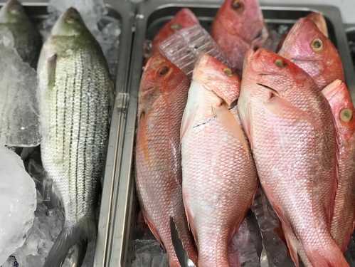 Fresh fish displayed on ice, including striped bass and several pink snapper.