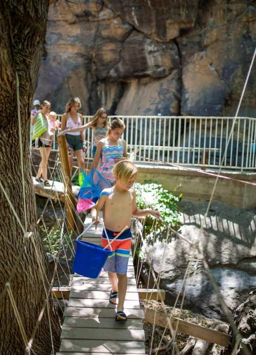 Children crossing a wooden bridge, carrying buckets and colorful beach gear, surrounded by nature and rocky terrain.