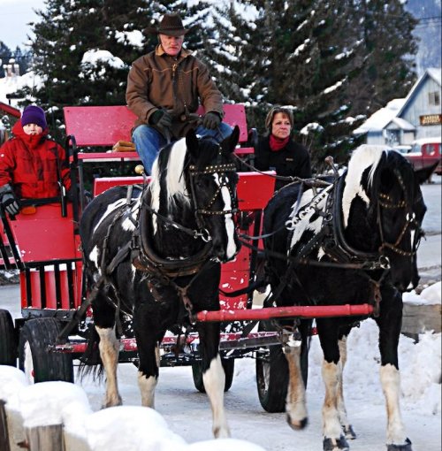 A horse-drawn carriage with two adults and a child rides through a snowy landscape, surrounded by trees and buildings.