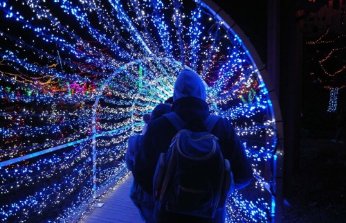 A person in a hoodie walks through a tunnel of colorful blue and white lights, creating a festive atmosphere.