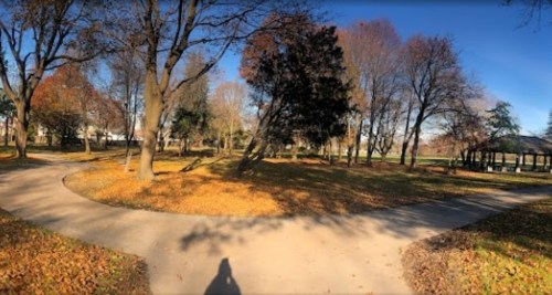 A sunny park scene with winding paths, trees, and fallen autumn leaves.