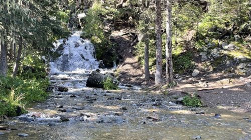 A serene forest scene featuring a small waterfall cascading into a rocky stream, surrounded by lush greenery.