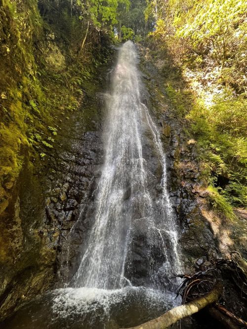 A cascading waterfall flows down a rocky cliff surrounded by lush green foliage.