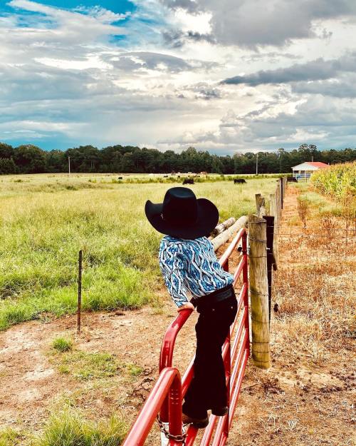 A child in a cowboy hat leans on a red fence, gazing at a green field under a cloudy sky.