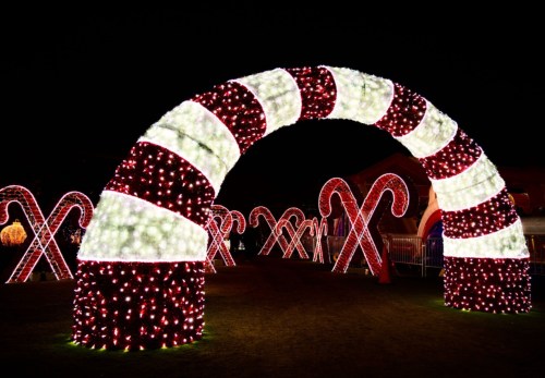 A large candy cane arch made of lights, surrounded by smaller candy cane decorations in a festive nighttime setting.