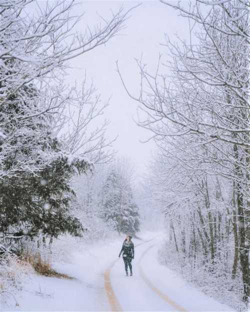 A person walks along a snow-covered path surrounded by trees blanketed in white snow.