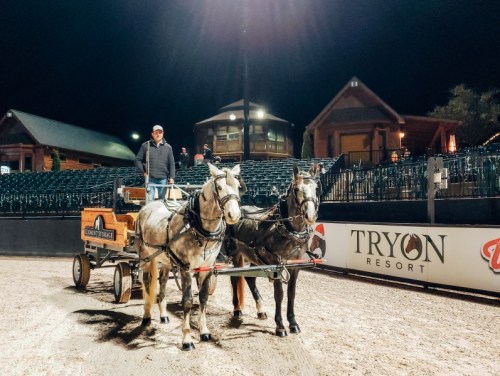 A person stands on a cart pulled by two horses at night, with a resort in the background and empty seating.