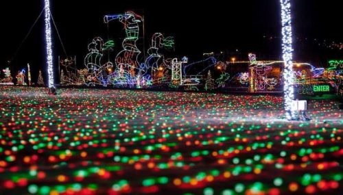 Colorful holiday lights illuminate a festive outdoor scene, creating a vibrant display of red and green.