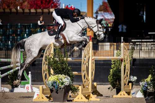 A rider in black jumps a gray horse over a decorative obstacle surrounded by flowers at an equestrian event.
