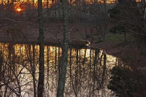 Sunset reflecting on a calm pond, surrounded by bare trees and a serene landscape.