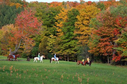 Four riders on horseback traverse a vibrant, autumn-colored landscape with trees in shades of red, orange, and yellow.