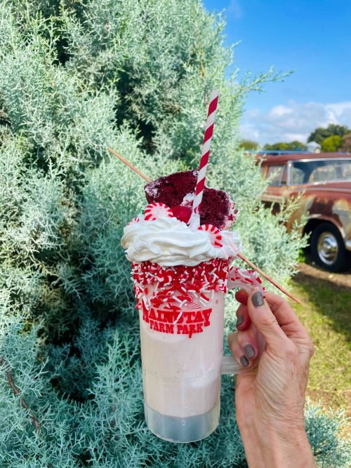 A hand holding a festive milkshake topped with whipped cream, red velvet cake, and a striped straw, set against greenery.
