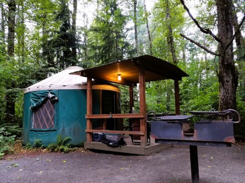 A green yurt with a wooden porch in a forested area, featuring a grill nearby and surrounded by trees.