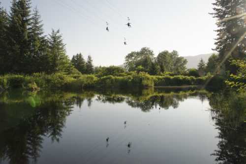 Two people ziplining over a calm pond surrounded by lush greenery and trees under a clear blue sky.