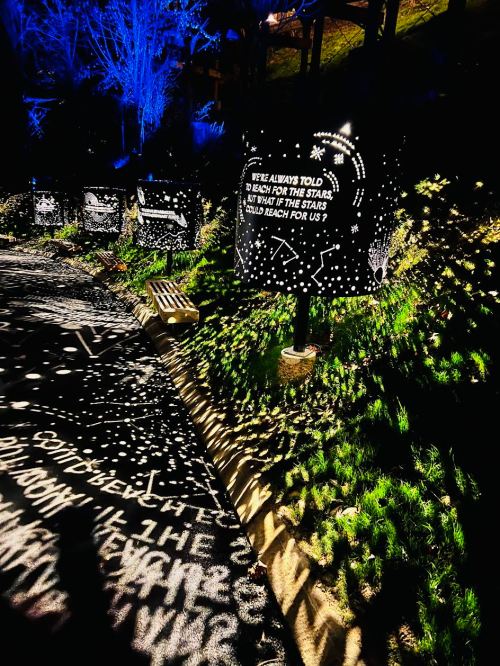 A pathway illuminated by starry projections and quotes, surrounded by greenery and blue lighting.