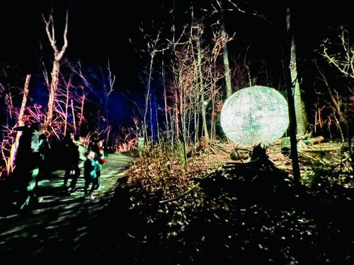A dimly lit forest path with people walking, featuring a large illuminated sphere among the trees.