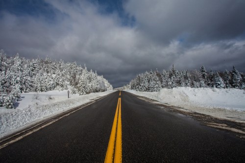 A snow-covered road stretches into the distance, flanked by trees and a cloudy sky.