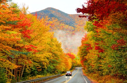 A scenic road lined with vibrant autumn trees in shades of red, orange, and yellow, with mountains in the background.