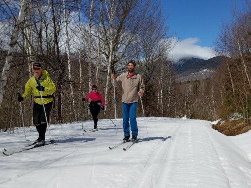 Three people cross-country skiing on a snowy trail surrounded by trees and mountains under a clear blue sky.