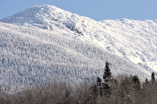 Snow-covered mountain peak with a clear blue sky and evergreen trees in the foreground.