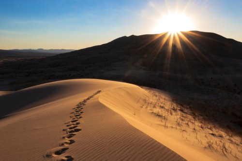 Footprints in golden sand dunes with a sunrise illuminating the landscape in the background.