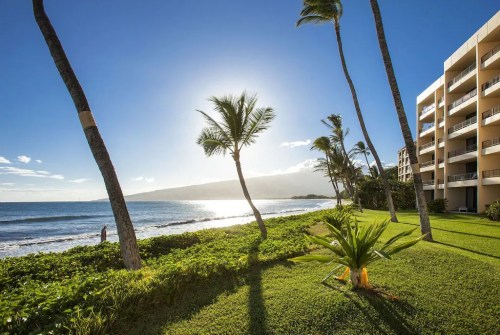A serene beach scene with palm trees, ocean waves, and a bright sun setting behind a mountain.