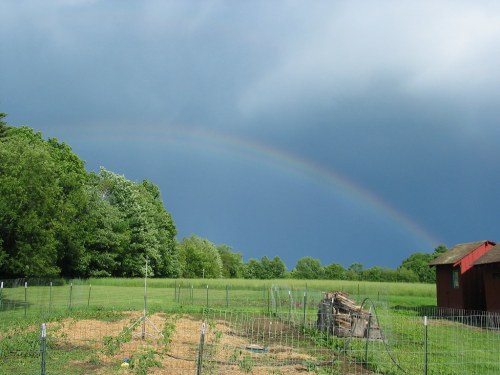 A vibrant rainbow arcs over a green field and a rustic barn under a cloudy sky.