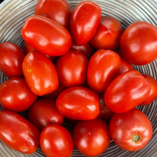 A close-up of a basket filled with ripe, red tomatoes of various sizes.