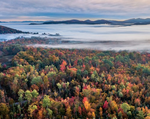 Aerial view of a colorful forest in autumn, with mist covering the landscape and mountains in the background.