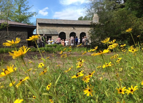 A field of yellow flowers in the foreground with a stone building and people gathered in the background on a sunny day.