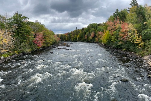 A river flows through a forest with colorful autumn foliage under a cloudy sky.