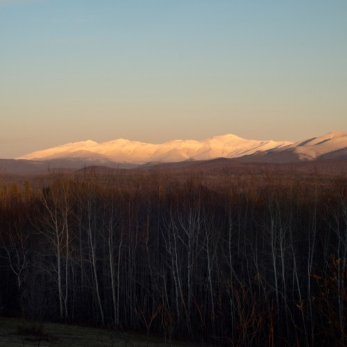 Snow-capped mountains under a clear sky, with a foreground of bare trees and a soft golden light at sunset.
