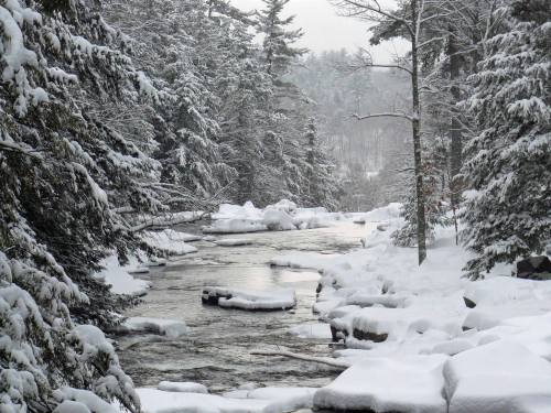 A serene winter scene of a snow-covered river surrounded by tall evergreen trees.
