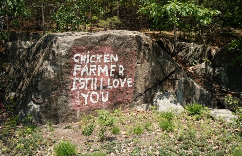 A large rock in a wooded area with the painted message: "CHICKEN FARMER I STILL LOVE YOU."