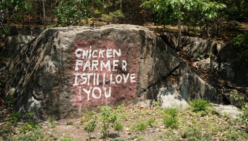 A large rock in a forest with painted text: "CHICKEN FARMER I STILL LOVE YOU." Surrounded by greenery.