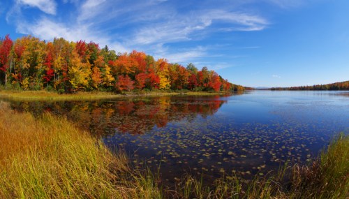 A serene lake surrounded by vibrant autumn foliage and a clear blue sky, reflecting the colorful trees in the water.