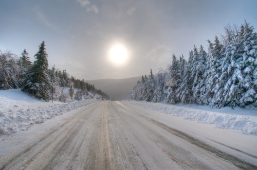 A snowy road stretches through a winter landscape, flanked by snow-covered trees under a cloudy sky.