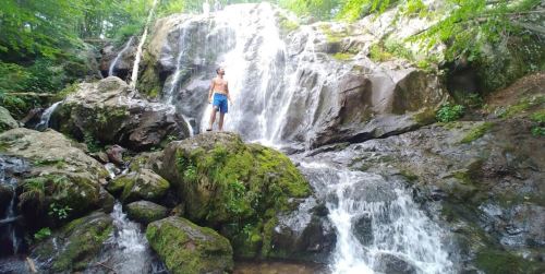 A person stands on a rock near a waterfall, surrounded by lush greenery and flowing water.